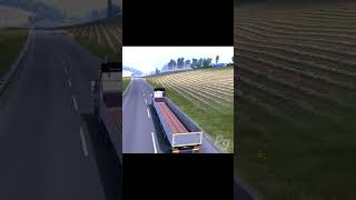 Truckersmp / What's going on here🙄