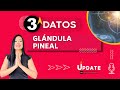 ¿CÓMO ACTIVO LA GLÁNDULA PINEAL? JUNTO A MARITZA RODRÍGUEZ, CREADORA DEL METODO PINEAL