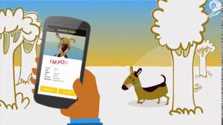 PEDIGREE - FOUND case study film