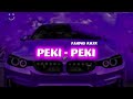 LAGU PESATA PEKI - PEKI || Fandho Rmxr