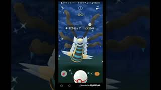 ギラティナオリジン色違い！【ポケモンGO】#shorts