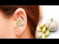 இரவில் உங்கள் காதில் பூண்டு வைத்து தூங்கினால் health benefits of putting garlic in ear orange sta