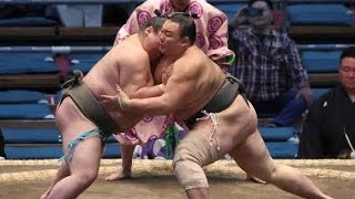 元大関・朝乃山「ここまで来たら勝ち負けにこだわらず…」復活原動力は母の言葉　236日ぶり白星