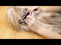 making a fizzgig puppet from the dark crystal