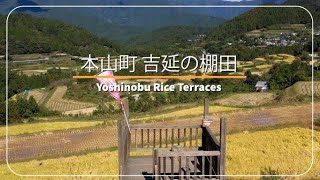 本山町 吉延の棚田 Yoshinobu Rice Terraces