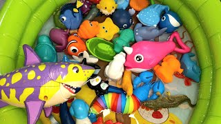 Fun Sea Animal toys for Kids in water| Learn Sea Creature Names & one line facts| Underwater Animals