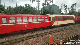 Alishan Forest Railway - Chiayi to Fengcihu and return.