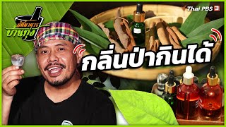 กลิ่นป่ากินได้ | ภัตตาคารบ้านทุ่ง