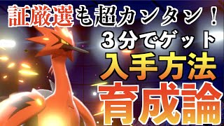 【証厳選もカンタンに】めちゃめちゃ楽にガラルサンダーをゲットする方法と育成論をわかりやすく解説します【ポケモン剣盾　冠の雪原】