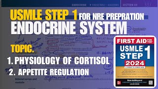 ENDOCRINE SYSTEM || Physiology Of Cortisol \u0026 Appetite Regulation || Urdu/Hindi- NRE Modules