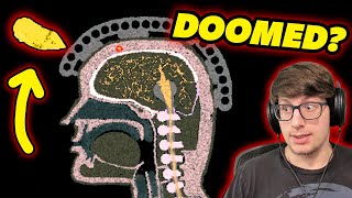 BODY ARMOR Projectile Survival Testing in Space Simulation Toolkit!