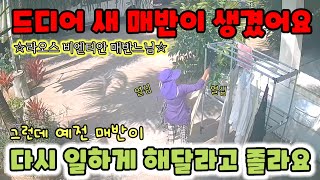 Ep.484 새 매반이 들어왔는데 예전 매반이 다시 일하게 해달래요