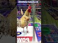 WGE 2024 Poultry Expo | Andrew Basilia