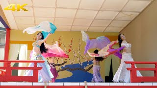 4K60P　奉納演芸ベリーダンスvol.5　湯島天神梅まつり2019　BEAUTIFUL BELLY DANCE vol.5 in Plum Festival, Yushima Tenjin