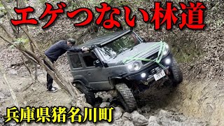 兵庫県のエゲつない林道【ガリガリ山・兵庫県猪名川町】