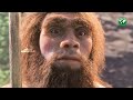 മനുഷ്യ പരിണാമത്തിലെ വമ്പൻ ടിസ്റ്റ് neanderthal history human evolution malayalam science