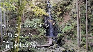 檜原村の見どころ「秋の龍神の滝」【滝】【数馬の湯近く】