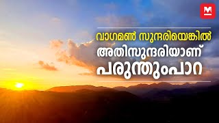 വാഗമൺ സുന്ദരിയെങ്കിൽ അതിസുന്ദരിയാണ് പരുന്തുംപാറ |Vagamon | Parunthumpara | Travel