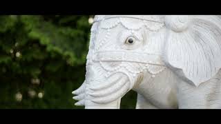 Videographer visits the International Buddhist Temple