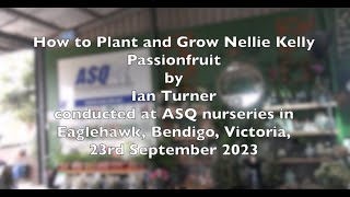 How to Grow Nellie Kelly Passionfruit by Ian Turner, at Eaglehawk, Bendigo, Victoria