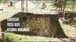 Florissant Fossil Beds National Monument