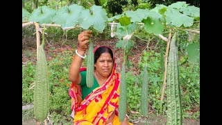 Mather Thaka Tola  Fresh Jhinge Diye Ajker Recipe || Healthy Bengali Village Food