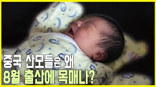 8월을 잡아라! 중국대륙 출산 전쟁 (KBS_2006.08.11.방송)