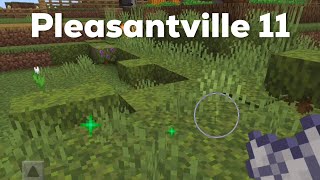 Minecraft Pleasantville 11