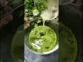 healthy drink betel leaves juice for weight loss kaluri jaya s kitchen