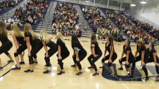 2016- 17 Women's Softball team (UIS Homecoming 2016)