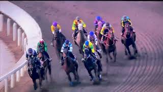 HKJC試閘12月10日沙田第四組1200米泥閘 紫荊拼搏 星之願 錶之福將 #競馬 #賽馬FactCheck