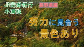 「小海線撮影のため登山します！？最後の場所すごいです」鉄道風景写真