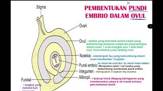 BIO T5 B6: 6.1 struktur bunga 6.2 pembentukan gamet