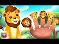 Finger Family Song - Lion - Kids Songs and Nursery Rhymes - ChuChu TV Classics #nurseryrhymes