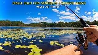 ¿QUÉ HABITA EN ESTE ARROYO? 🎣🔥 PESCA CON EQUIPO ULTRALIVIANO Y UNA SORPRESA INESPERADA!