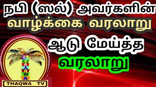 ஆடு மேய்த்த வரலாறு | நபி (ஸல்) அவர்களின் வாழ்க்கை வரலாறு | THAQWA TV