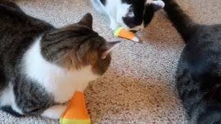 Halloween Candy Corn Toys For Cats