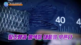 [예고] FTV 꾼의 선택 250화 - 겨울 낚시는 일조량과 물색 (2025.01.13.방송)