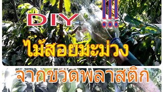 DIY ไม้สอยมะม่วงจากขวดน้ำอัดลมพลาสติก