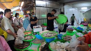 海水大黑公，不知道什麼，就是海吳郭魚 中彰海王子海鮮拍賣嘉義共和路東市場海鮮叫賣