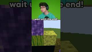 Minecraft’s Most Satisfying Block Animation😍 #reaction