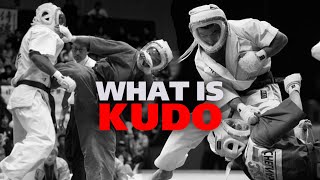 Kudo Karate - The Ultimate Martial Art | Daido Juku Karate
