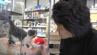 粗品、猫を飼う？【猫の太客に会いに行く#1】