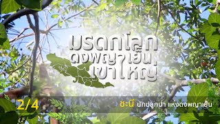 สารคดีมรดกโลกดงพญาเย็น-เขาใหญ่ Ep.4 ตอน \