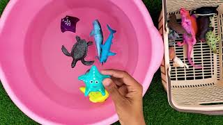 Cleaning Animal Toys | Sea Animals Toys Getting Washed | Animals Toys | Zaibies Toys