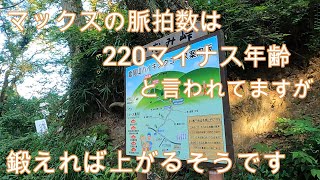 神奈川県・厚木市・愛川町・鳶尾山・・鳶尾山を走っている人に聞きました