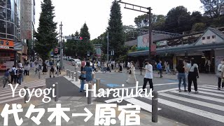 【東京】山手線を徒歩で一周⑱《代々木駅→原宿駅》Tokyo Walk Yamanote Line ”SYoyogi→Harajuku”