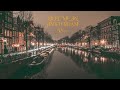 vietsub meet me in amsterdam rini lyrics video