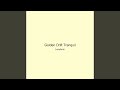 Golden Drift Tranquil