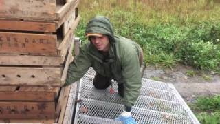 Pennsylvania Game Lands Pheasant Stocking